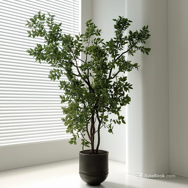 Indoor Bonsai Potted Plant with Lush Green Leaves in Dark Pot by Window Blinds 3d model 