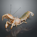 Vibrant Mantis Shrimp With Orange Claws And Green Exoskeleton On Dark Background