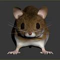 Brown Mouse with Long Tail White Belly and Black Eyes on Black Background with Reflection