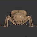 Modern beetles of the genus Giddinium Narrow Giddinium 3d model