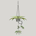 Green Leafy Hanging Bonsai Potted Plant With Small Trailing Plants And Metal Hanger