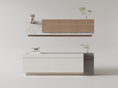 Reception Desk Front Desk model