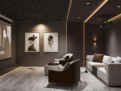 Home Theater Interior With Starry Ceiling Sofas And Art Decor 3d model