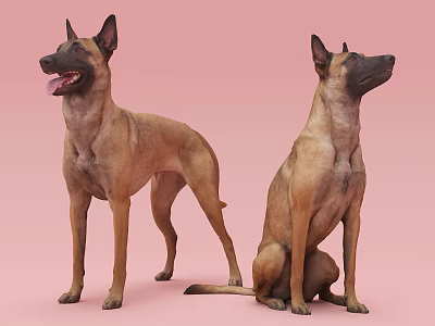 The Modern Dog 3d model