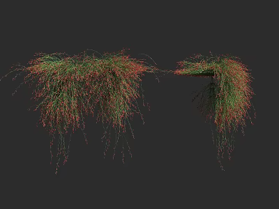 Lush Hanging Bush With Green And Red Foliage Overhanging Shelf Structure 3d model