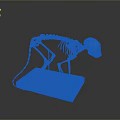 Standing Monkey Skeleton on Blue Base with Detailed Anatomical Structure