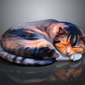 Sleeping Calico Cat Curled Up On Reflective Dark Surface With Soft Fur