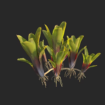 Modern Waterlogged Pineapple 3d model