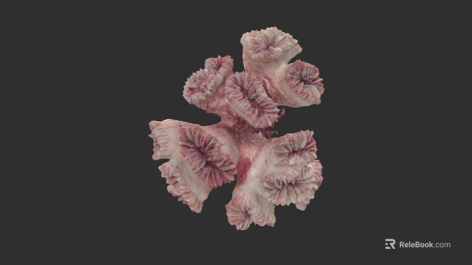 Coral Like Plant Painting With Pink And White Petal Shaped Structure On Black Background 3d model 