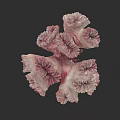 Coral Like Plant Painting With Pink And White Petal Shaped Structure On Black Background