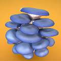 Vibrant Blue Oyster Mushrooms Cluster on Bright Yellow Background Fresh Vegetable
