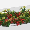 Colorful Garden Flowers And Plants Featuring Red Yellow Blooms And Green Foliage