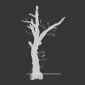 Dry Tree Trunk With Bare Branches And Natural Wood Texture Isolated On White