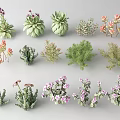 Various Decorative Succulents Purple Flowering Plants With Green Leaves Pink Blooms For Home Decor