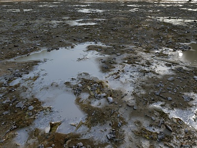 soil wetland grassland soil 3d model