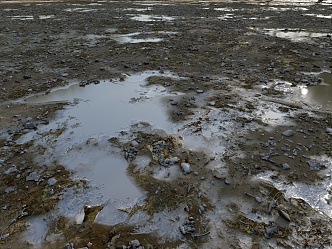 soil wetland grassland soil 3d model