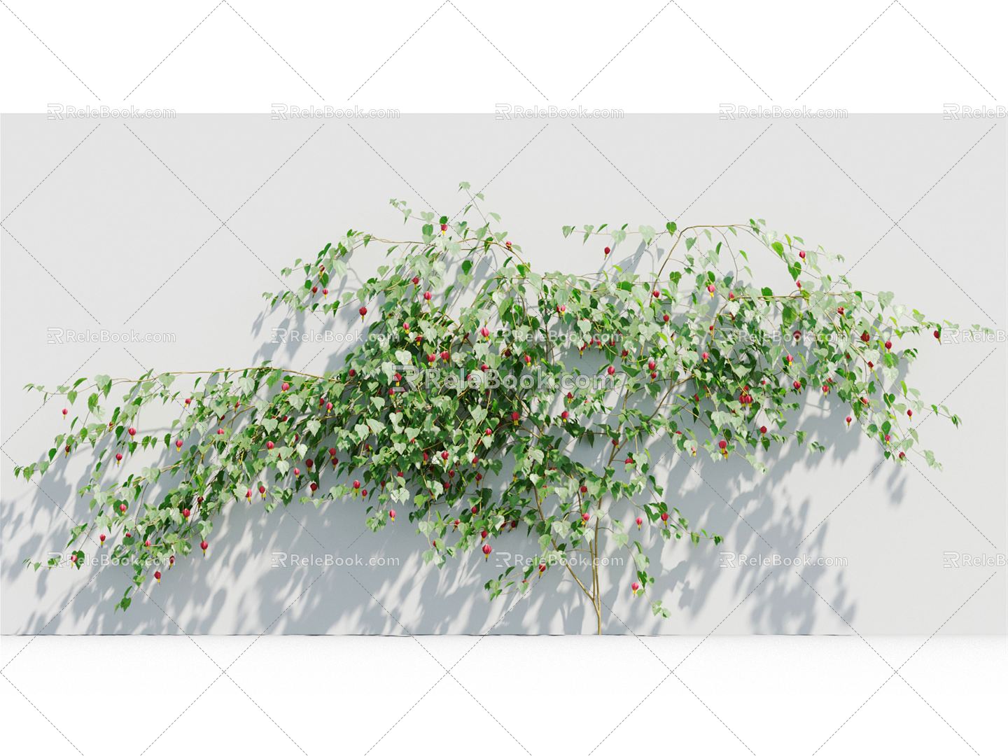 Modern Vine Vine Plant 3d model