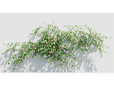 Lush Green Vine With Red Small Flowers Hanging On White Wall Displaying Natural Growth 3d model