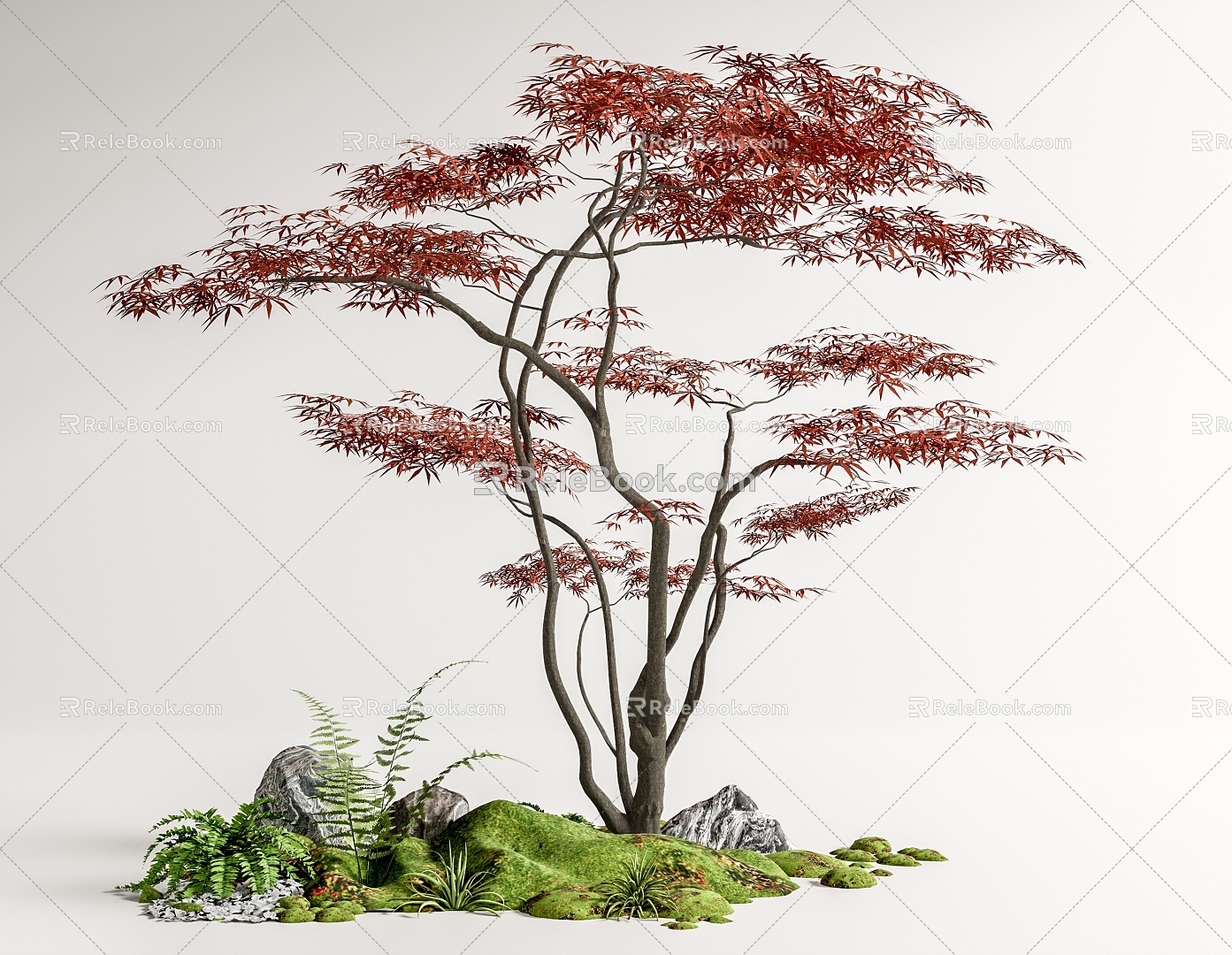 modern red maple red maple landscape tree Acer moss tree moss terrain 3d model