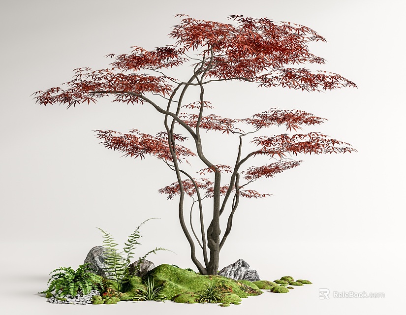 Red Leaf Tree With Slender Trunks Surrounded By Green Moss Ferns And Stones 3d model 