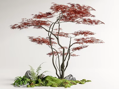 Red Leaf Tree With Slender Trunks Surrounded By Green Moss Ferns And Stones 3d model
