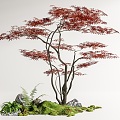 modern red maple red maple landscape tree Acer moss tree moss terrain 3d model