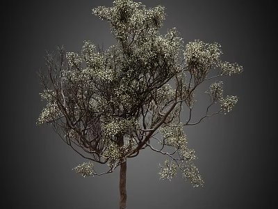 Tall Arbor With Lush Variegated Green White Foliage And Dense Branches 3d model