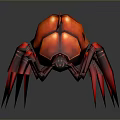Red Spider With Glossy Armored Body And Many Sharp Legs