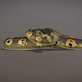 Golden Spotted Snakes Coiled On Reflective Black Surface With Yellow Patterns 3d model
