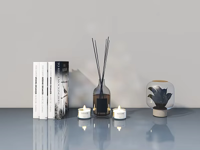 Modern Flush Door With Light Gray Wall Desktop Books Diffuser Candles And Succulent 3d model