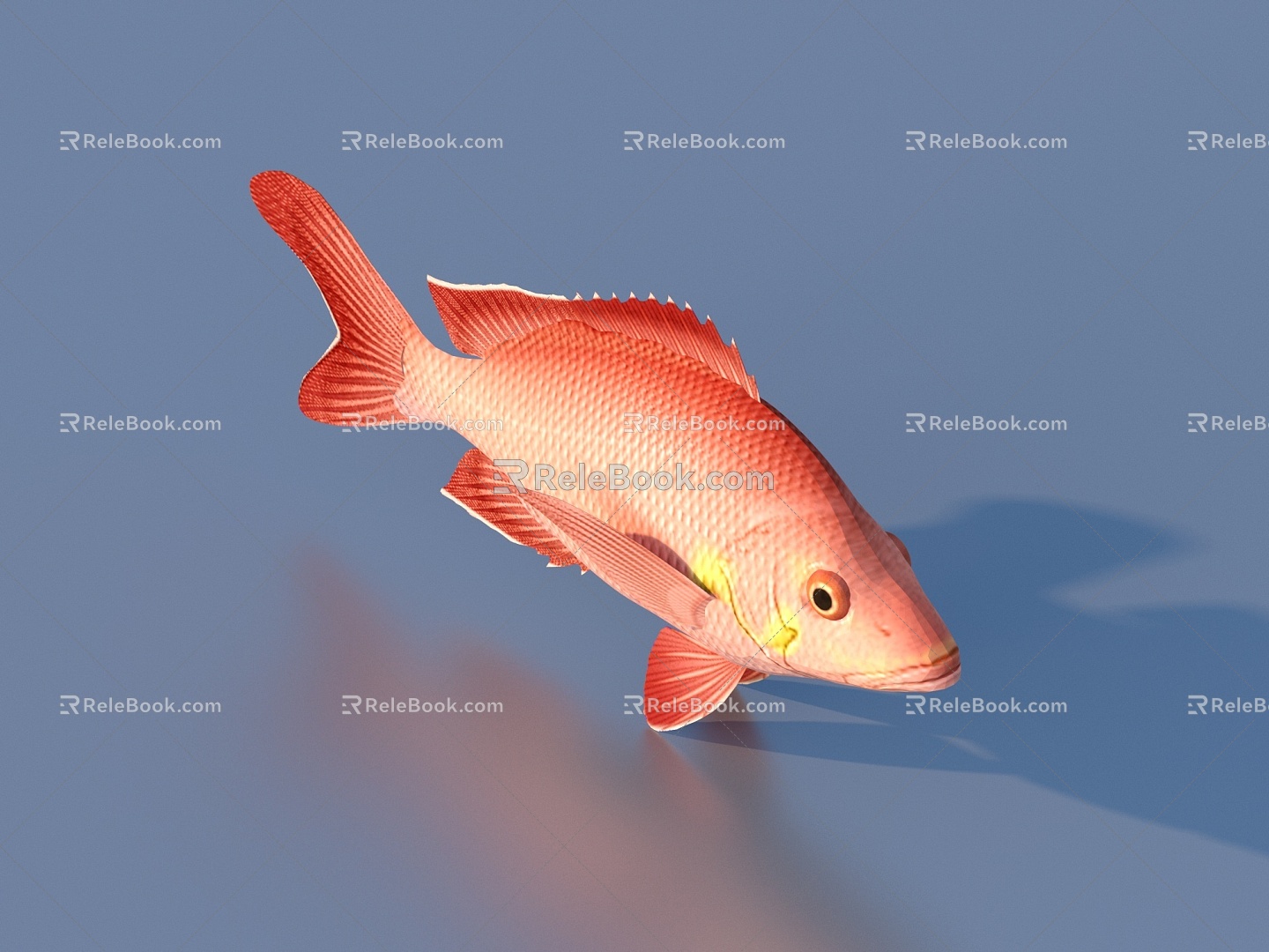 goldfish ornamental fish pet fish koi carp 3d model