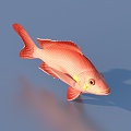 goldfish ornamental fish pet fish koi carp 3d model