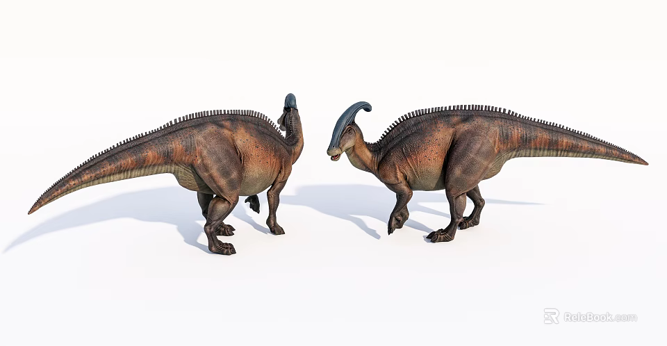 Reptilian Dinosaurs With Long Necks Spiked Backs Brown Green Patterns Standing Face To Face 3d model 