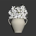 Fresh White Flowers With Green Leaves in Elegant White Vase on Dark Background