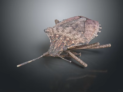 Flying Insect With Long Antennae And Rough Exoskeleton On Dark Background 3d model