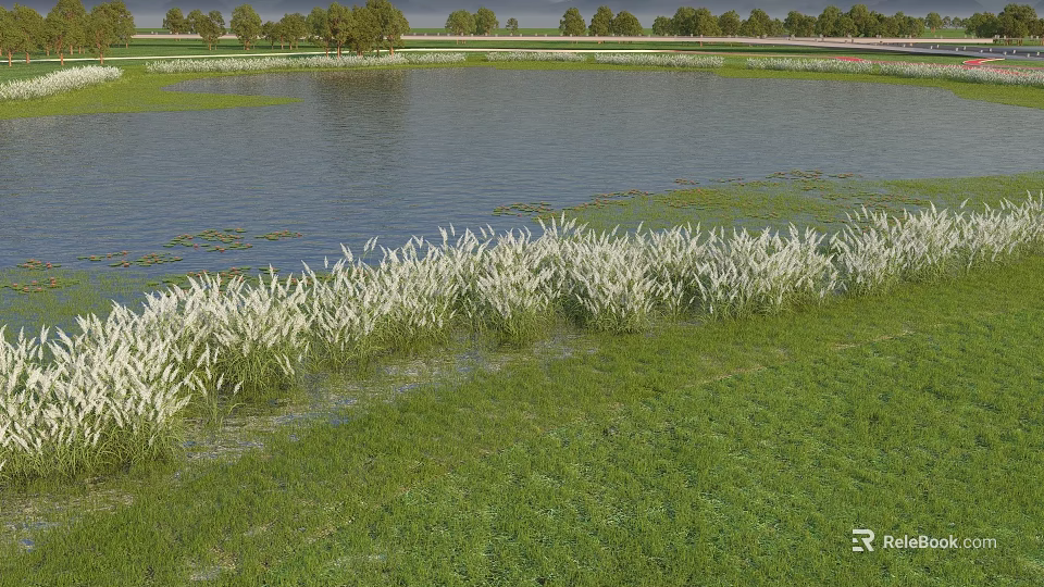 Park Landscape With Lake Water White Reeds Green Grass And Distant Trees 3d model 