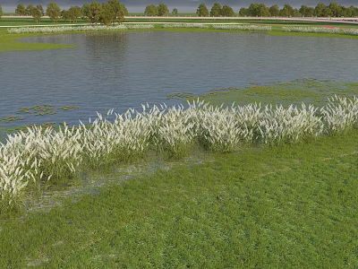 Park Landscape With Lake Water White Reeds Green Grass And Distant Trees 3d model