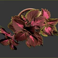 Vibrant Potted Plant with Red and Yellow Leaves in Gray Ceramic Pot
