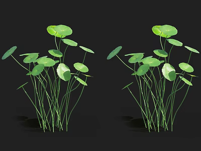 Aquatic Plants With Fresh Green Round Leaves And Long Stems 3d model