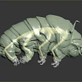 Detailed 3D Tardigrade Creature Character Featuring Light Green Segmented Body Legs And Tail Structure