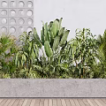Various Green Potted Plants In Grey Concrete Rectangular Planter With White Wall And Wooden Floor