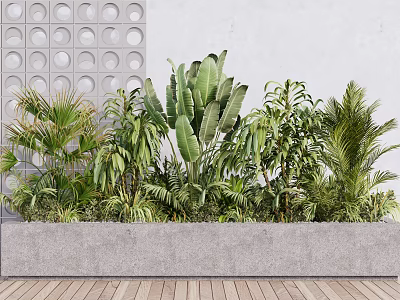 Various Green Potted Plants In Grey Concrete Rectangular Planter With White Wall And Wooden Floor 3d model