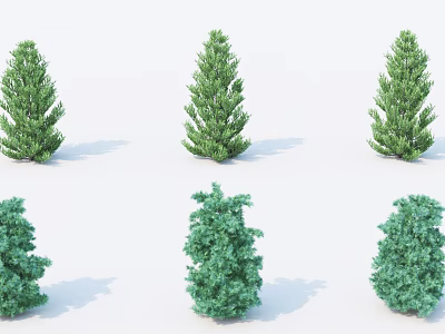 Six Green Shrubs with Different Shapes Displayed on White Background 3d model
