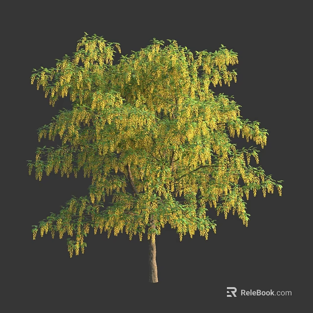 Lush Green Arbor with Hanging Yellow Flowers and Dense Foliage on Dark Background 3d model 