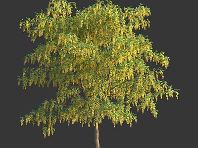 Lush Green Arbor with Hanging Yellow Flowers and Dense Foliage on Dark Background 3d model
