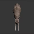 Gray Elephant 3D Model With Long White Tusks Standing On Dark Background