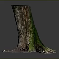 Natural Wooden Tree Stump With Rough Bark Texture And Stone Base Details 3d model