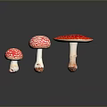 Three Red Mushrooms With White Spots In Different Sizes On Dark Surface 3d model