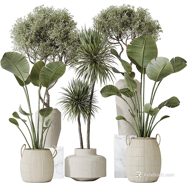 Potted Plants with Large Green Leaves in White Ceramic Pots for Indoor Decor 3d model 