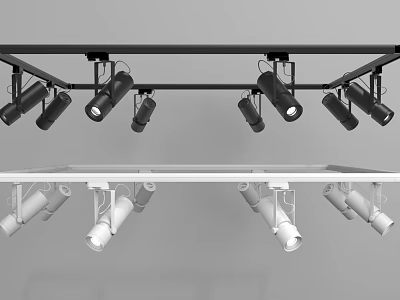 Black and White Track Mounted Downlights and Spotlights with Multiple Heads for Home Commercial Lighting 3d model